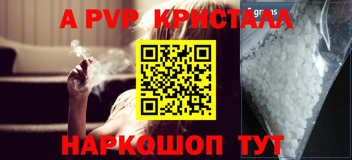 A PVP СК Бийск