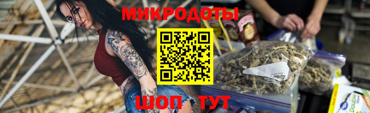 Галлюциногенные грибы Psilocybe Бийск